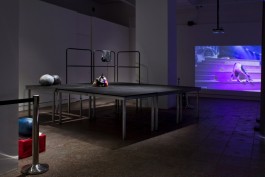 CELINA BALJEET BASRA