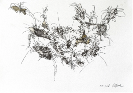 CELINA BALJEET BASRA